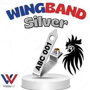 WINGBAND BLANK SILVER
