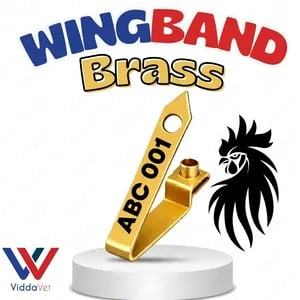 WINGBAND BLANK BRASS