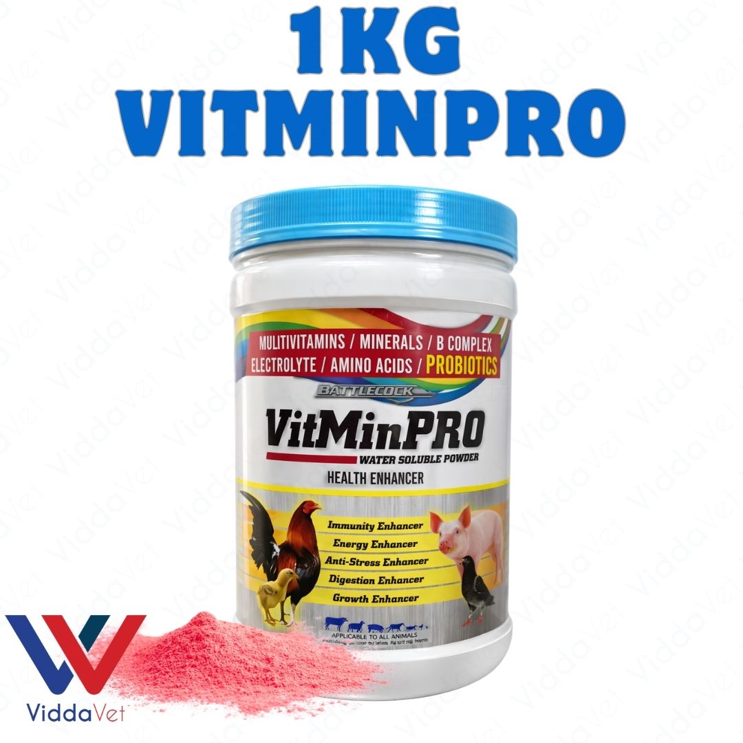 1KG VitmPro 1KG Egg 1000 Livestock Supplement for Faster Growth and Health