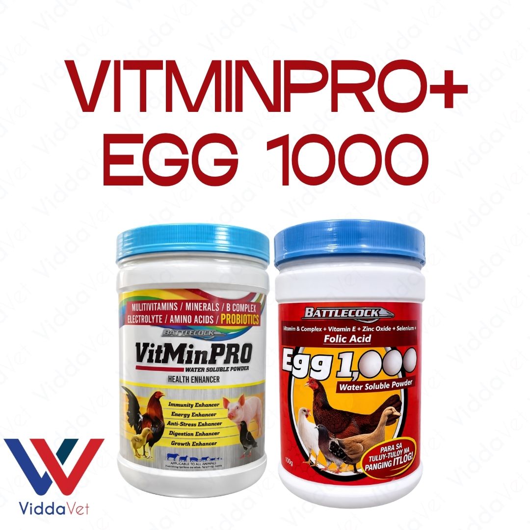 1KG VitmPro 1KG Egg 1000 Livestock Supplement for Faster Growth and Health