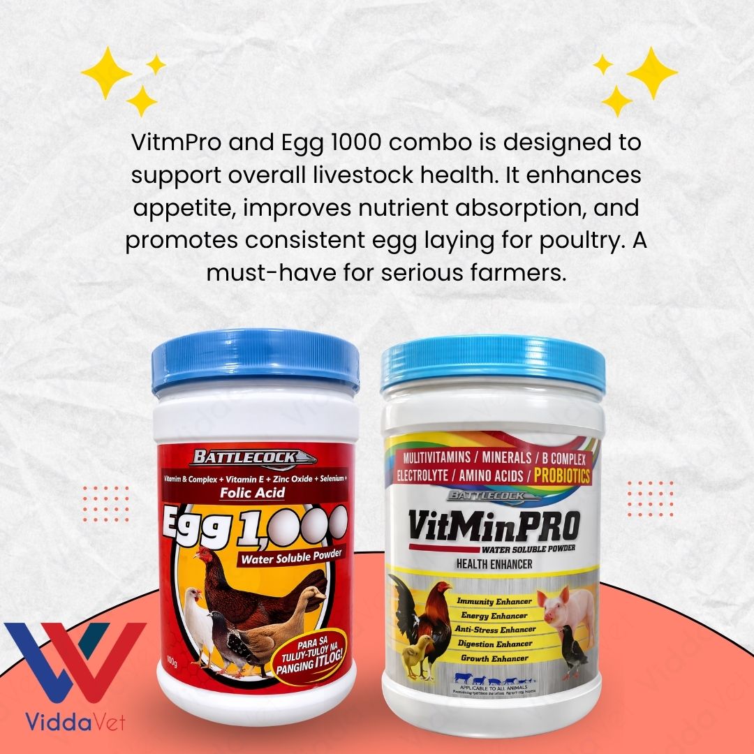 1KG VitmPro 1KG Egg 1000 Livestock Supplement for Faster Growth and Health