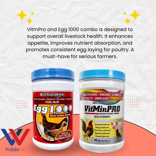 1KG VitmPro 1KG Egg 1000 Livestock Supplement for Faster Growth and Health