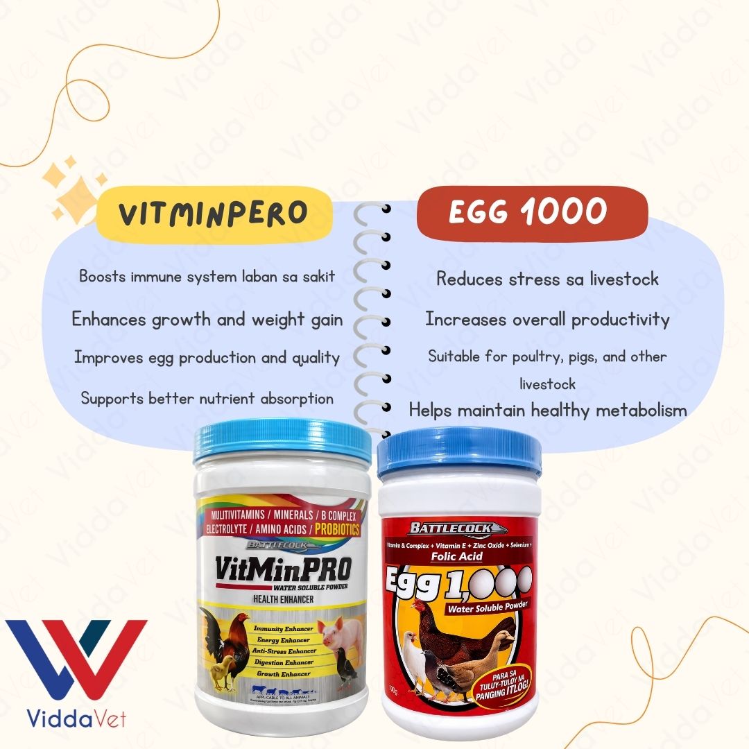 1KG VitmPro 1KG Egg 1000 Livestock Supplement for Faster Growth and Health