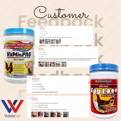 1KG VitmPro 1KG Egg 1000 Livestock Supplement for Faster Growth and Health