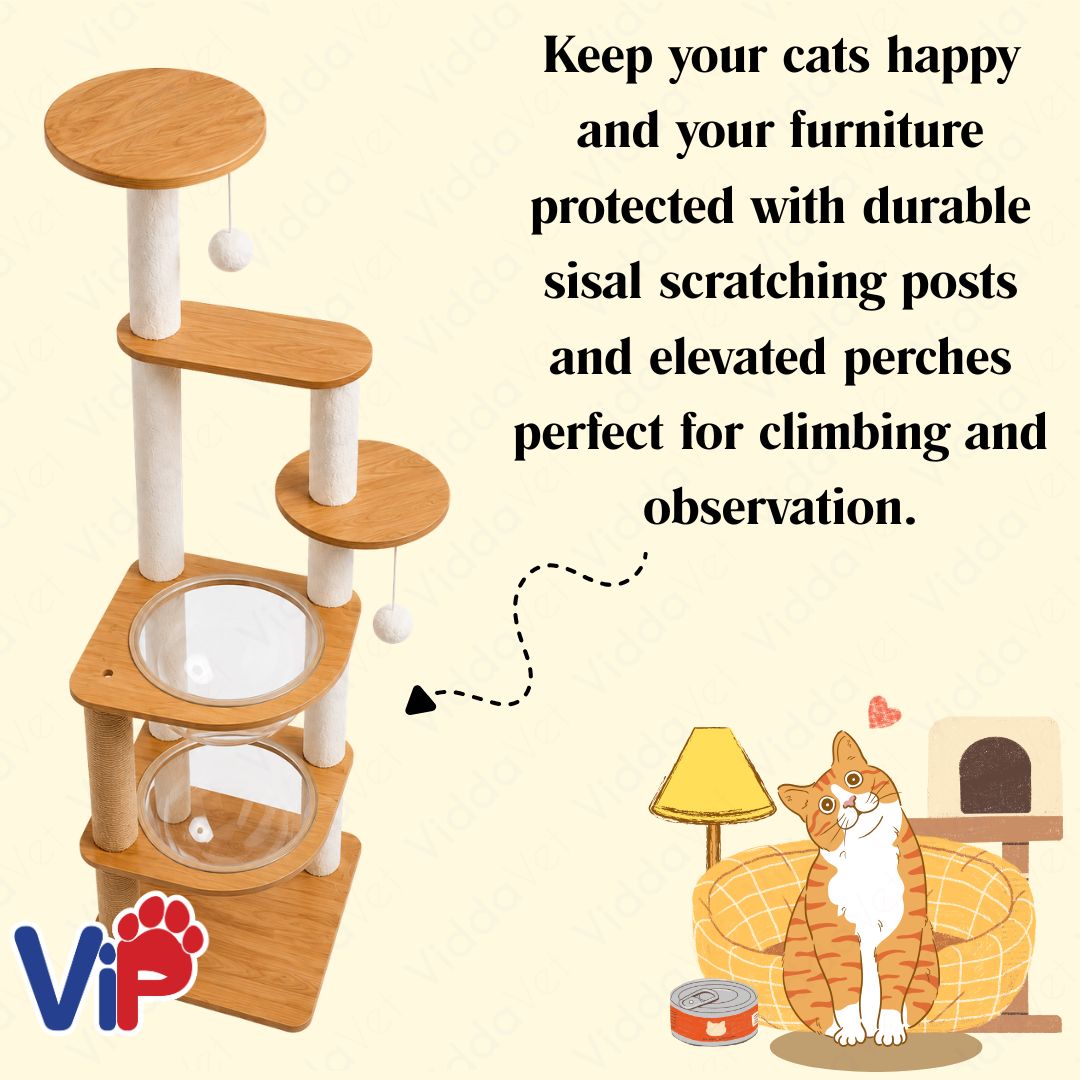 Tall Wooden Cat Tree House with Transparent Bubble Bowl and Cat Scratching Area