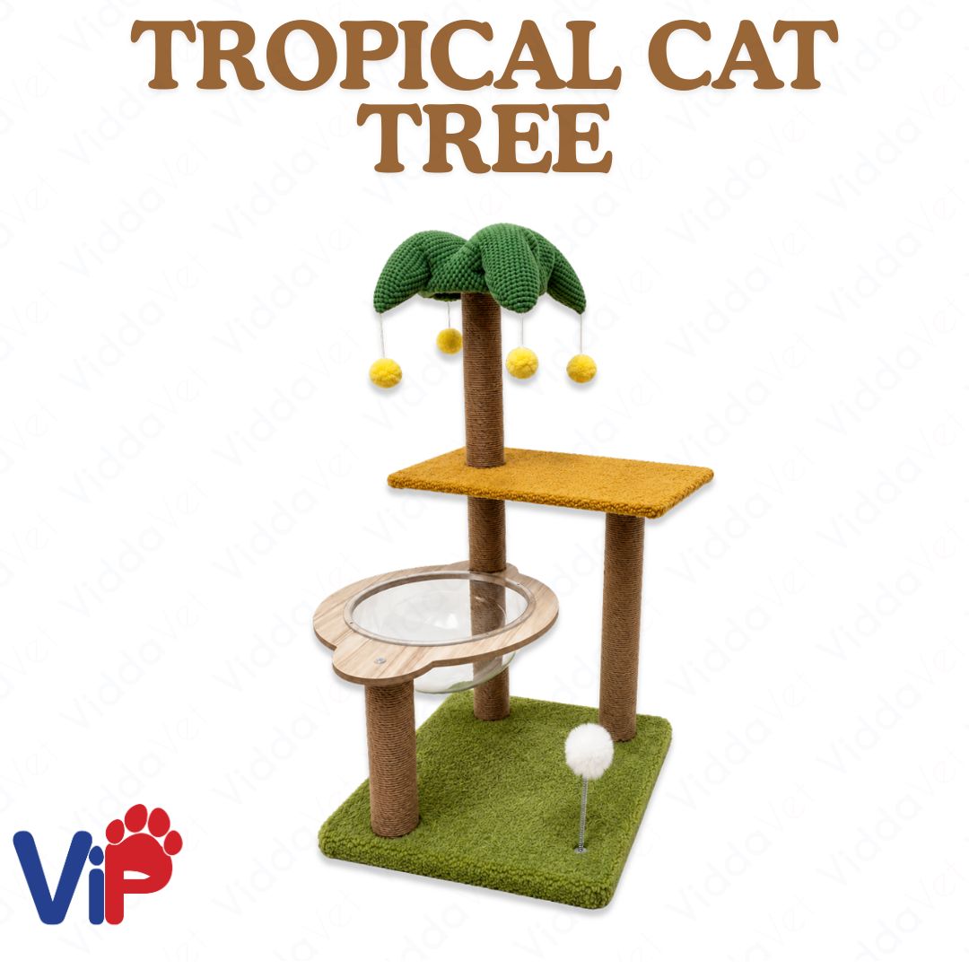 Tropical Cat Tree Condo with Acrylic Bubble Bed Sisal Scratching Post for Indoor Cats