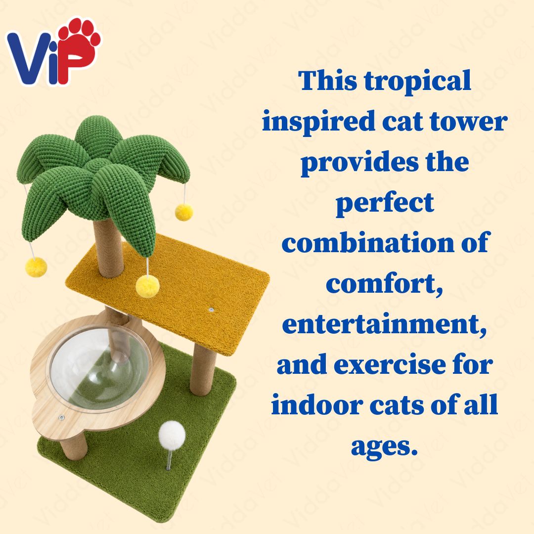 Tropical Cat Tree Condo with Acrylic Bubble Bed Sisal Scratching Post for Indoor Cats