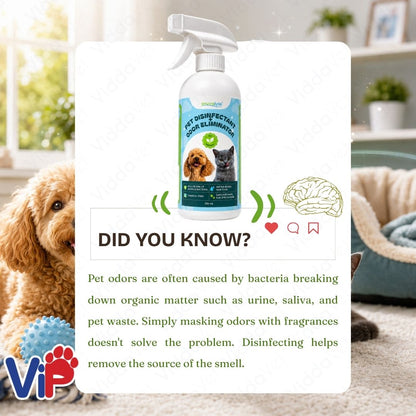 500ml ANK Pet Area Disinfectant for Everyday Cleaning