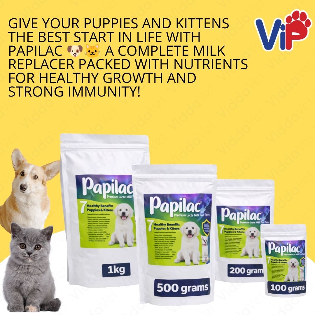 Papilac Complete Milk Formula Puppies Kittens Available 100g 500g 200g 1kg Pack