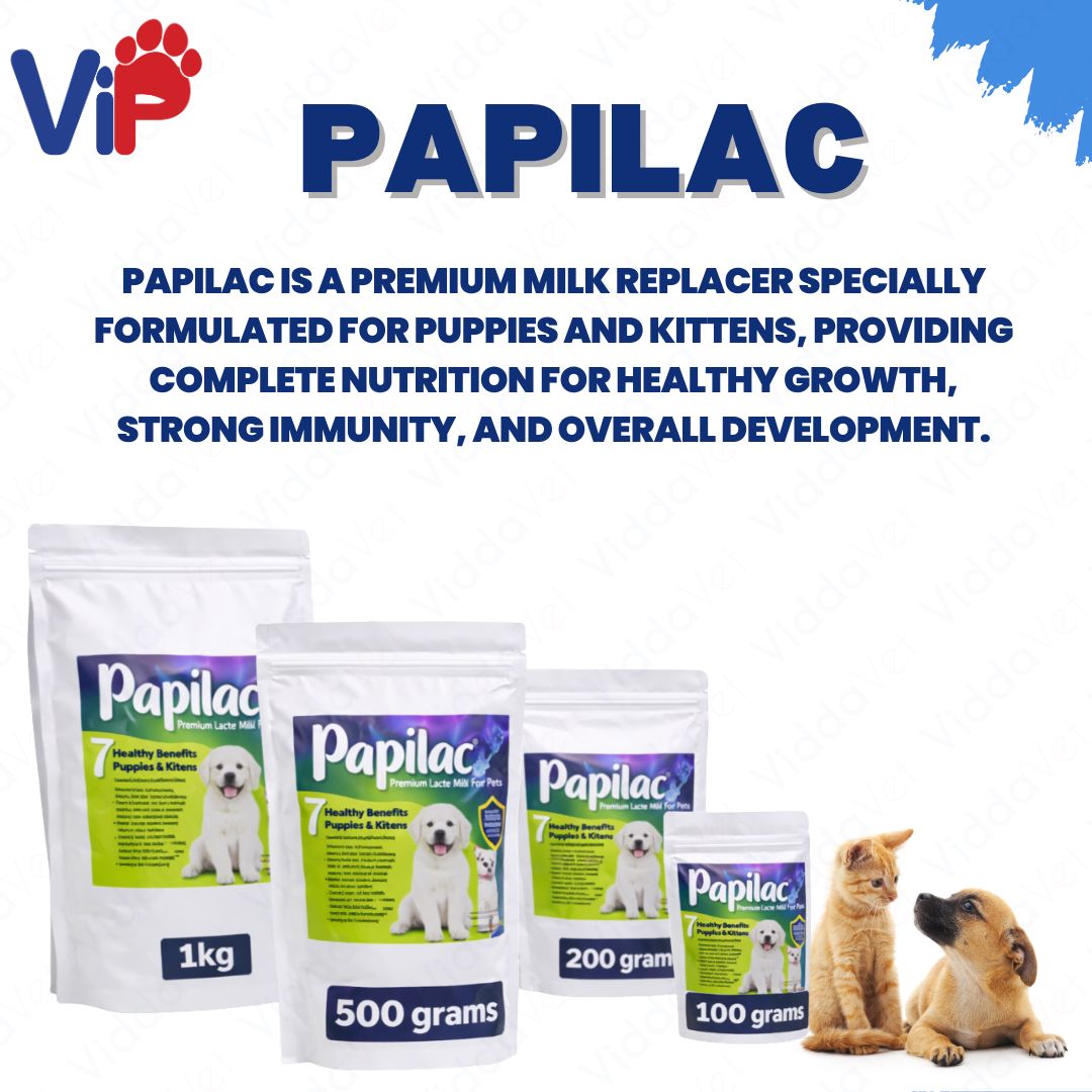 Papilac Complete Milk Formula Puppies Kittens Available 100g 500g 200g 1kg Pack