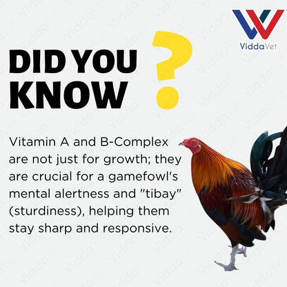 V22 1KG Animal Vitamin Supplement For Poultry And Farm Livestock