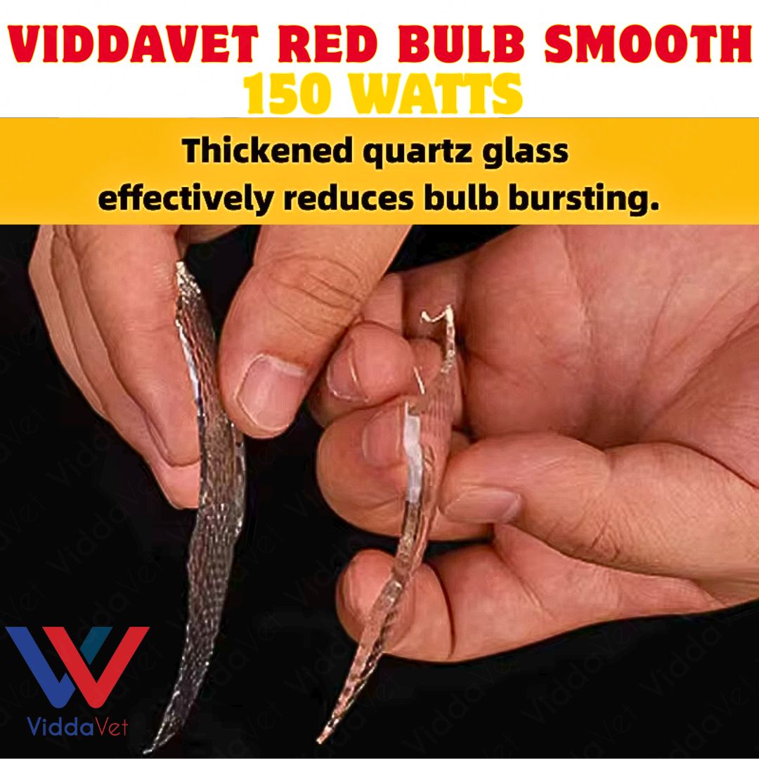 Red Bulb Smooth 150W Heat Lamp