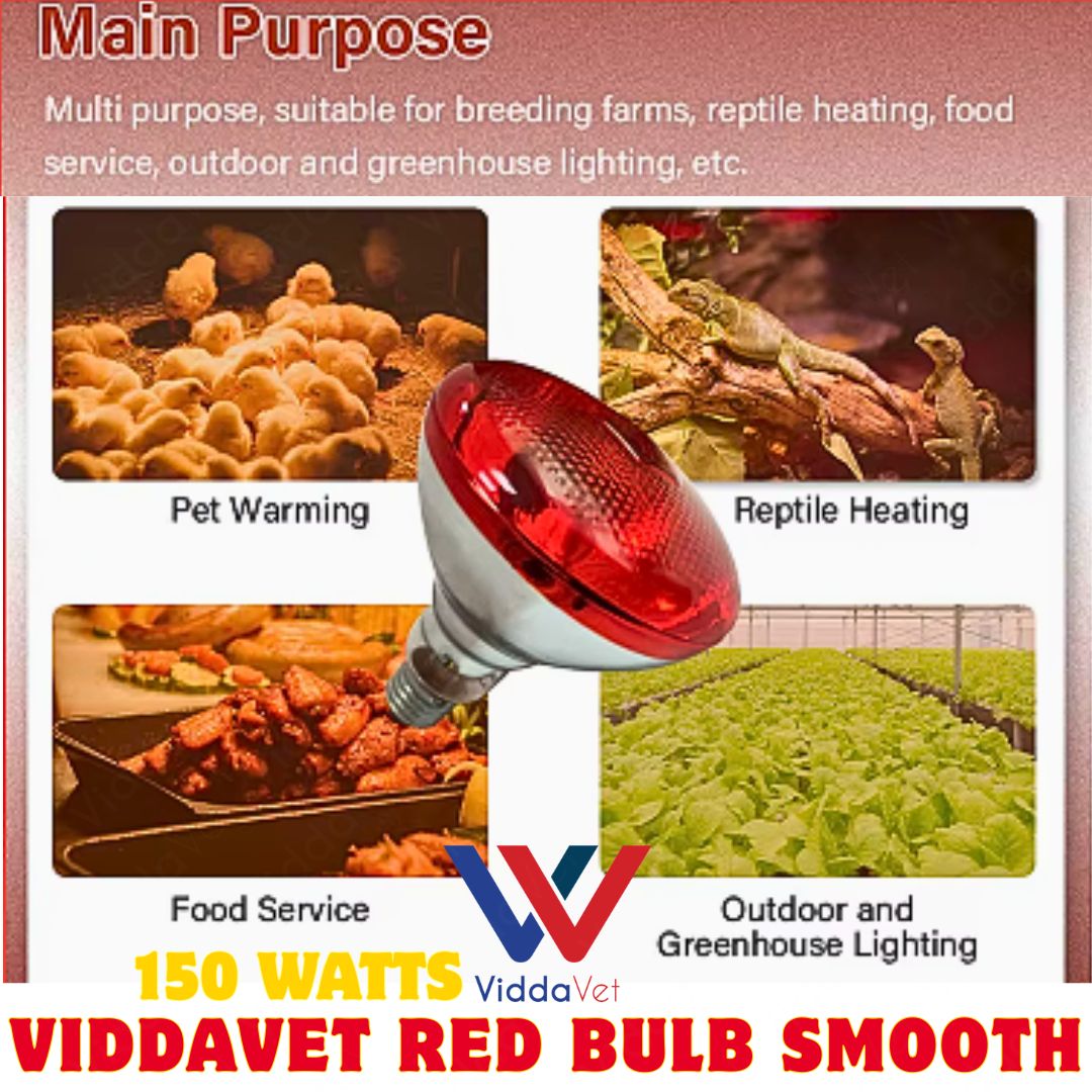 Red Bulb Smooth 150W Heat Lamp