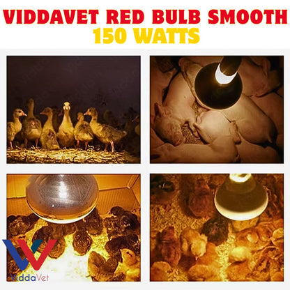 Red Bulb Smooth 150W Heat Lamp