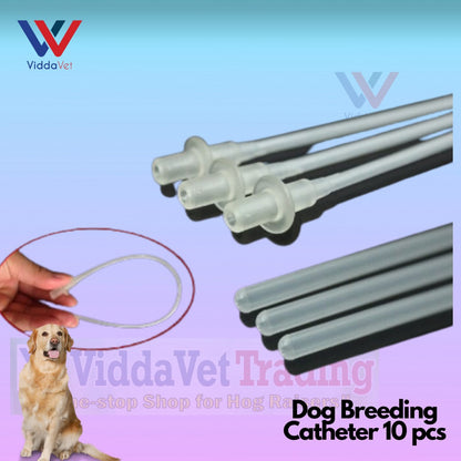 Disposable AI Catheter For Dog 10 Pcs