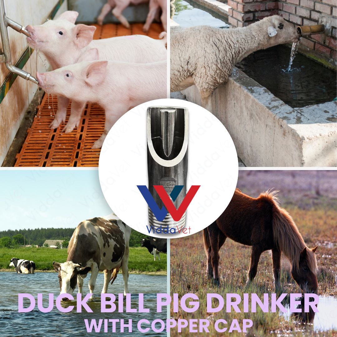Duck Bill Pig Nipple Drinker Copper Cap Stainless Steel Leak Free