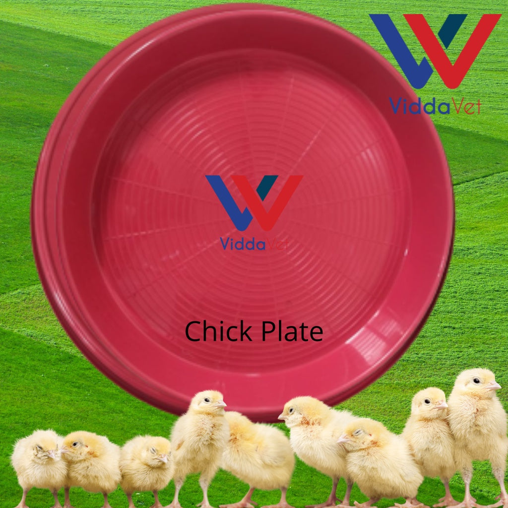 Round Chicken Plate Feeder