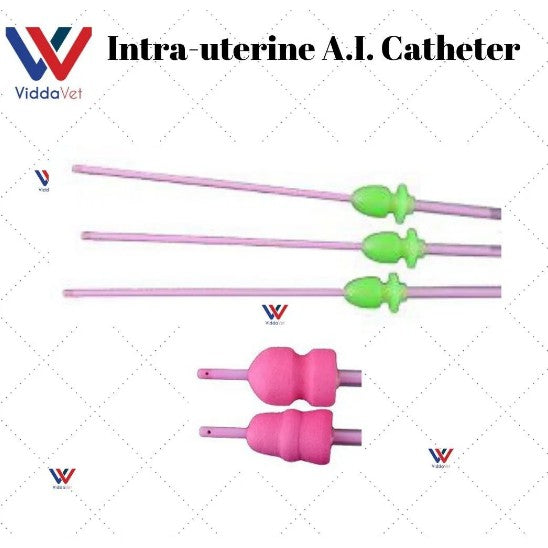 Intra Uterine A.I Catheter