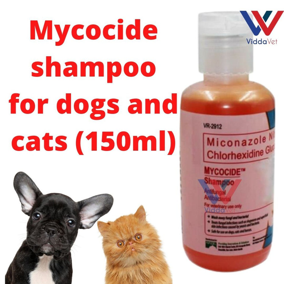 Mycocide 150ML Antifungal Antibacterial Shampoo for Dogs Cats Horses ...