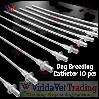 Disposable AI Catheter For Dog 10 Pcs