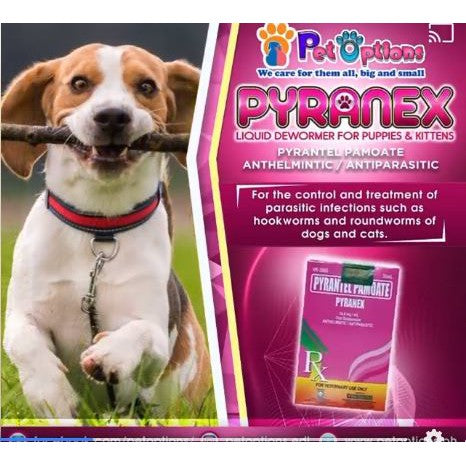Pyranex Liquid Dewormer 30ml