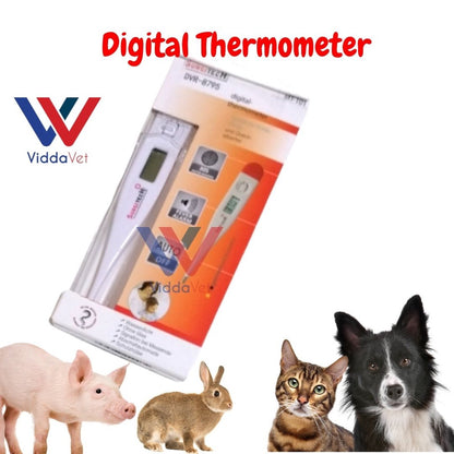 Digital Thermometer