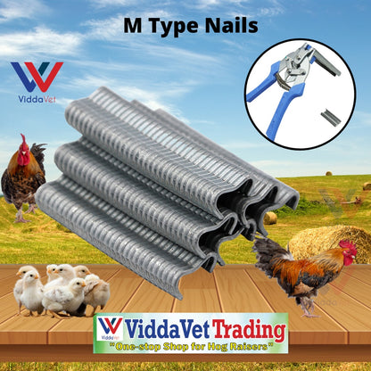 M-Type Cage Nails 600-Staples
