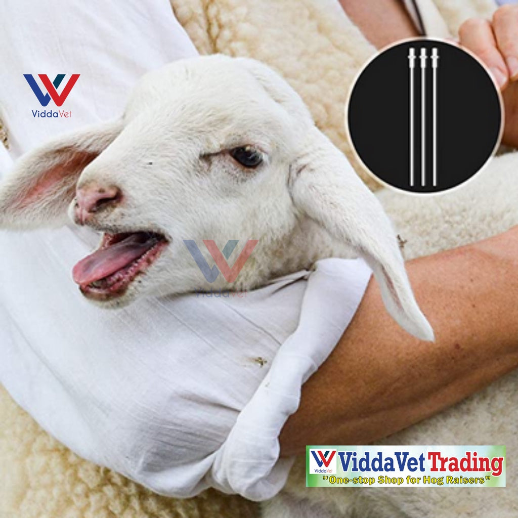 Disposable Artificial Insemination Dog Catheter 50pcs