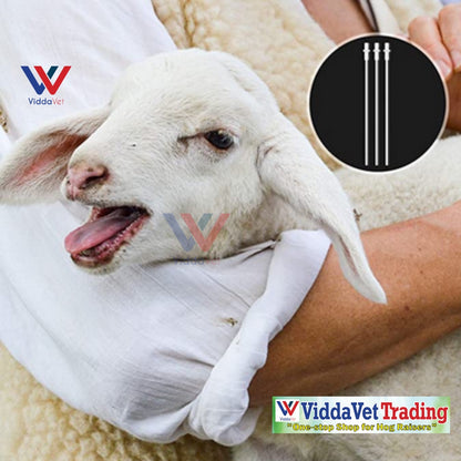 Disposable Artificial Insemination Dog Catheter 50pcs