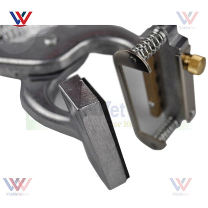 Pig Ear Tattoo Applicator