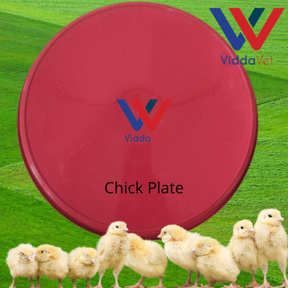 Round Chicken Plate Feeder