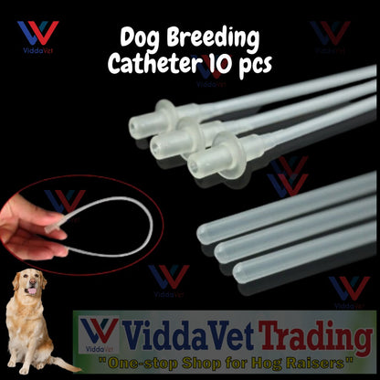 Disposable AI Catheter For Dog 10 Pcs