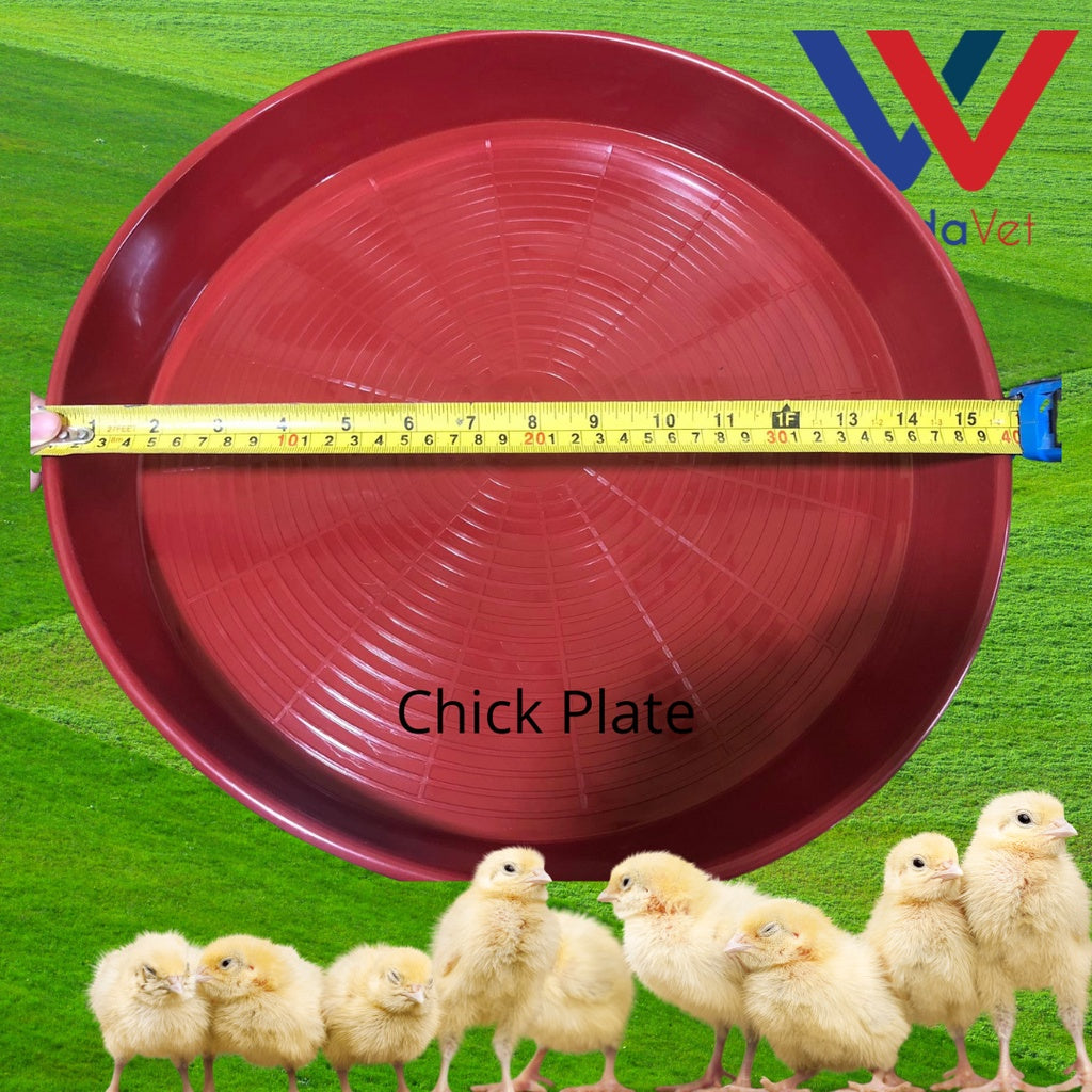 Round Chicken Plate Feeder