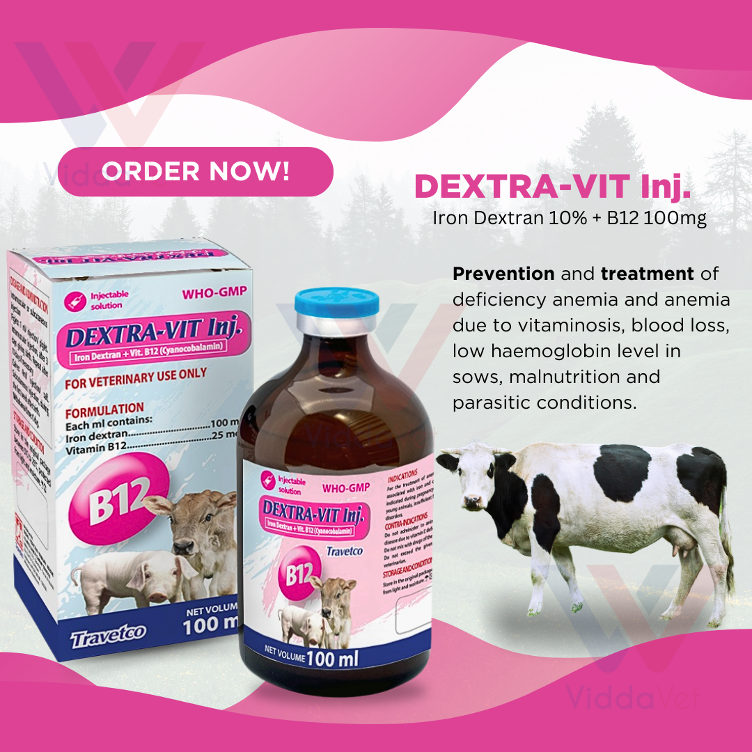 Dextra-Vit Inj. 100ml