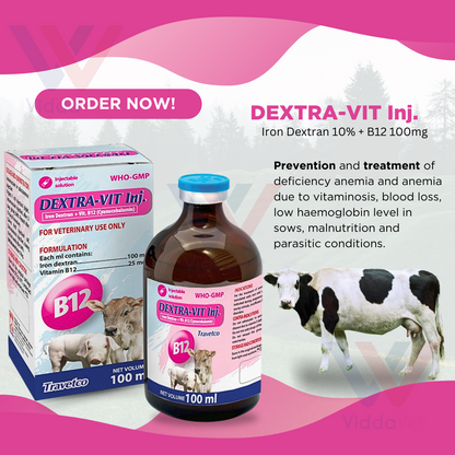 Dextra-Vit Inj. 100ml
