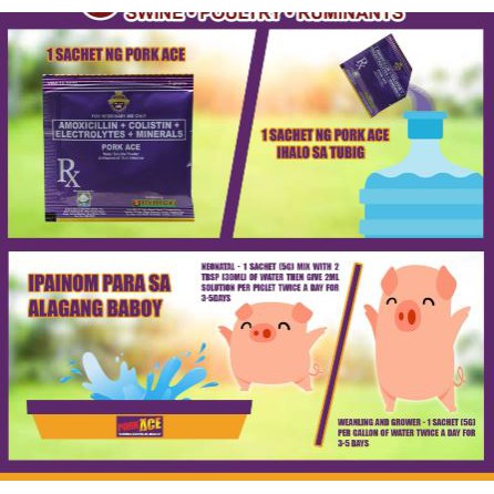 Pork Ace Powder 5g - Water Soluble Antibiotic for Swine Health ...