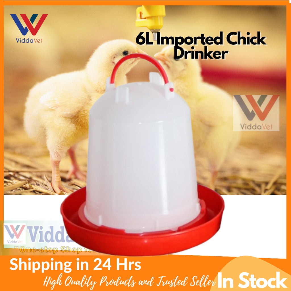 Automatic Chicken Drinker 6L