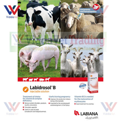 Labidrosol 100ML