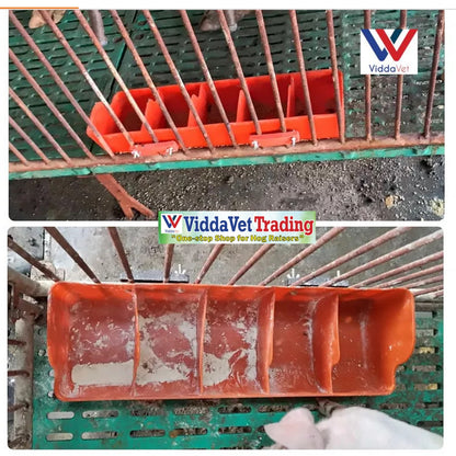 Plastic Piglet Feeder 5 Slot