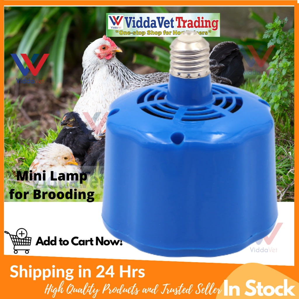 Portable Mini Brooding Heat Lamp