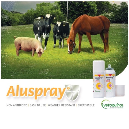 Aluspray 210ml