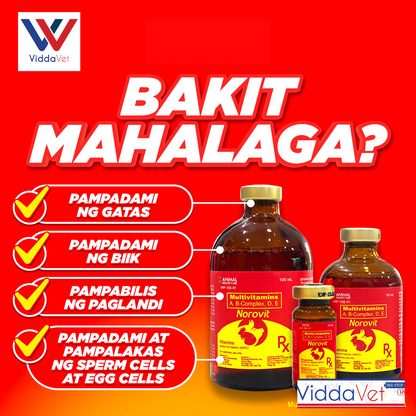 BMEG Bundle Alamycin Iron-Vet 100ml + Alamycin LA 100ml + Norovit 100ml + Freebies