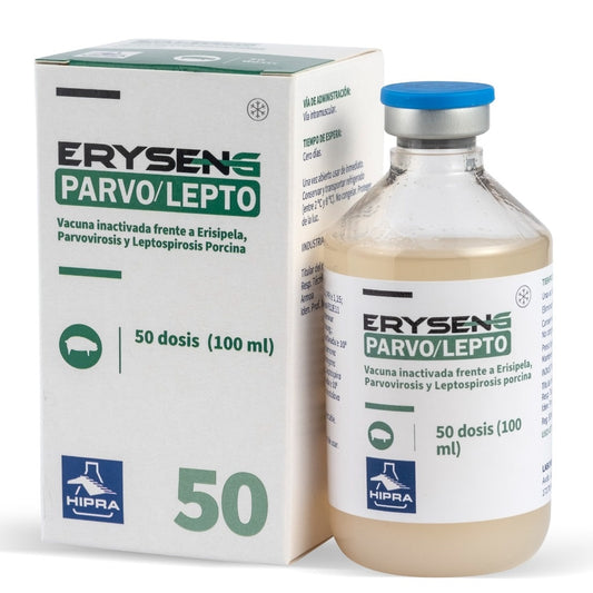 ERYSENG PARVO (HIPRA) - 100 ML/50 DOSE