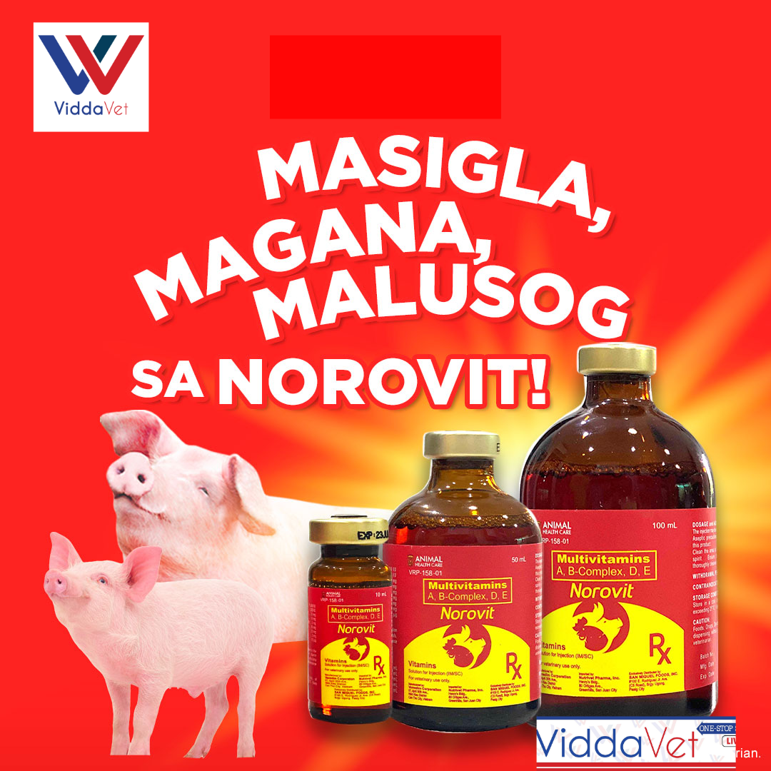 BMEG Bundle Alamycin Iron-Vet 100ml + Alamycin LA 100ml + Norovit 100ml + Freebies