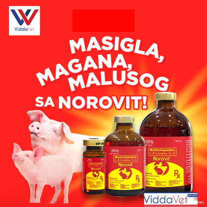 BMEG Bundle Alamycin Iron-Vet 100ml + Alamycin LA 100ml + Norovit 100ml + Freebies