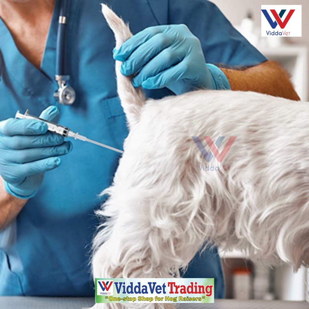 Disposable Artificial Insemination Dog Catheter 50pcs