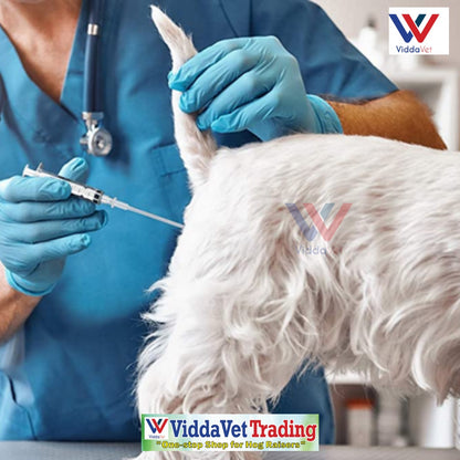 Disposable Artificial Insemination Dog Catheter 50pcs