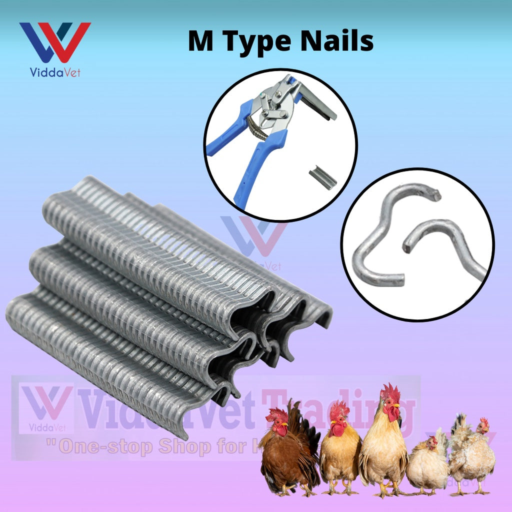 M-Type Cage Nails 600-Staples