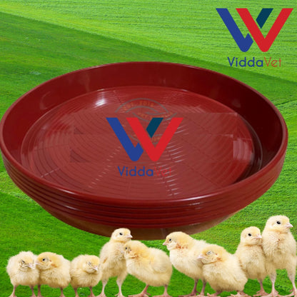 Round Chicken Plate Feeder
