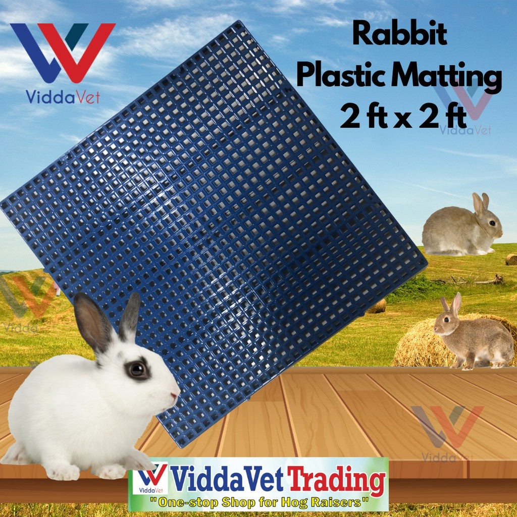 Plastic Matting Heavy Duty Blue 2x2